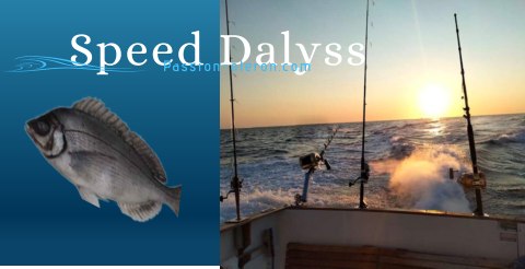 Speed Dalyss Passion-oleron.com