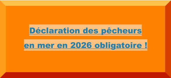 Déclaration des pêcheurs en mer en 2026 obligatoire !