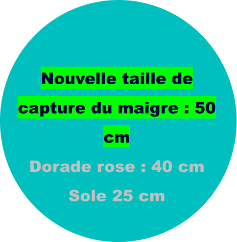 Nouvelle taille de capture du maigre : 50 cm Dorade rose : 40 cm Sole 25 cm