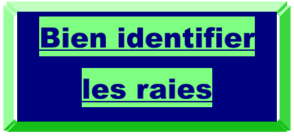 Bien identifier les raies