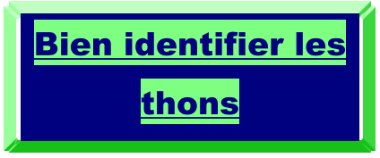 Bien identifier les thons
