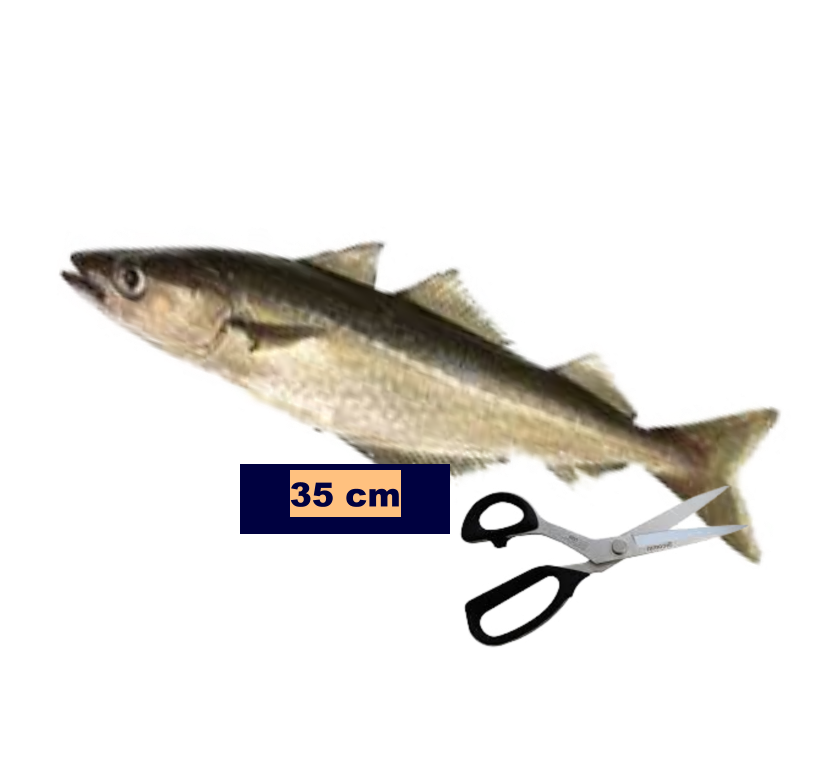 35 cm