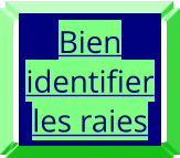 Bien identifier les raies