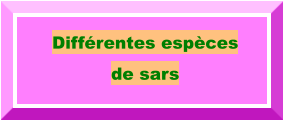 Différentes espèces  de sars