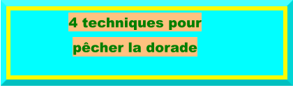 4 techniques pour  pêcher la dorade