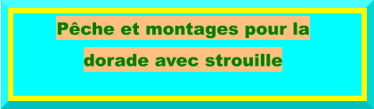 Pêche et montages pour la dorade avec strouille