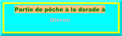 Partie de pêche à la dorade à Oléron