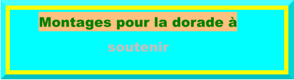 Montages pour la dorade à soutenir