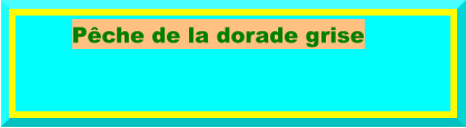 Pêche de la dorade grise