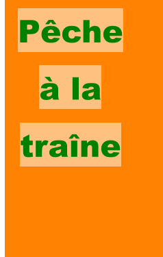 Pêche à la traîne