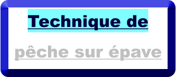 Technique de pêche sur épave