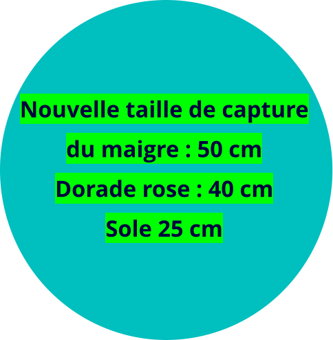 Nouvelle taille de capture du maigre : 50 cm Dorade rose : 40 cm Sole 25 cm