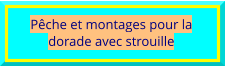 Pêche et montages pour la dorade avec strouille