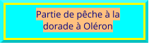 Partie de pêche à la dorade à Oléron