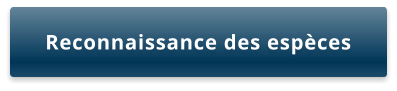 Reconnaissance des espèces