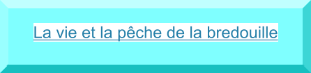 La vie et la pêche de la bredouille