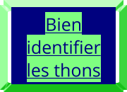 Bien identifier les thons