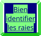 Bien identifier les raies